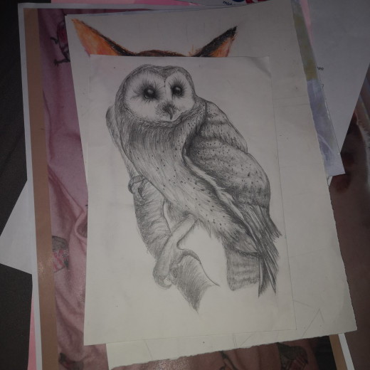 owl drawing in pencil