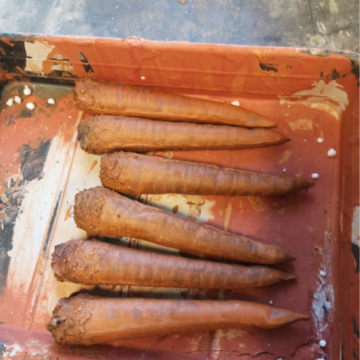 creating carrot props for Preston Park Museum